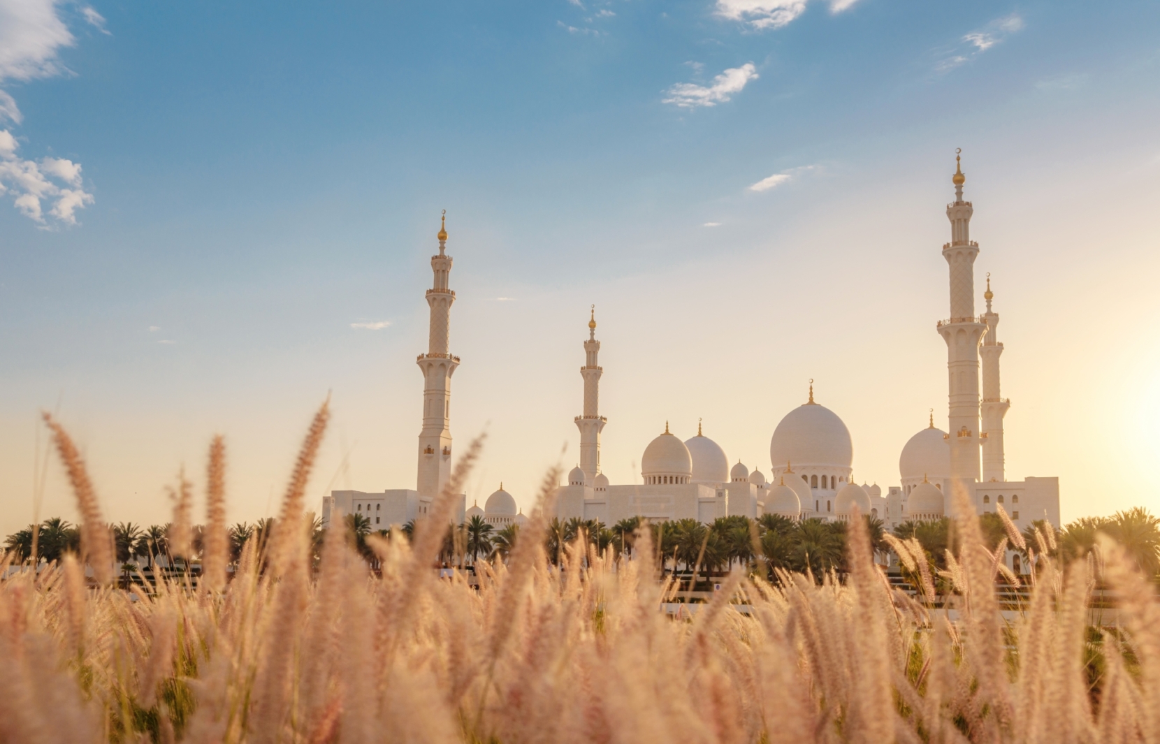 Abudhabi 1