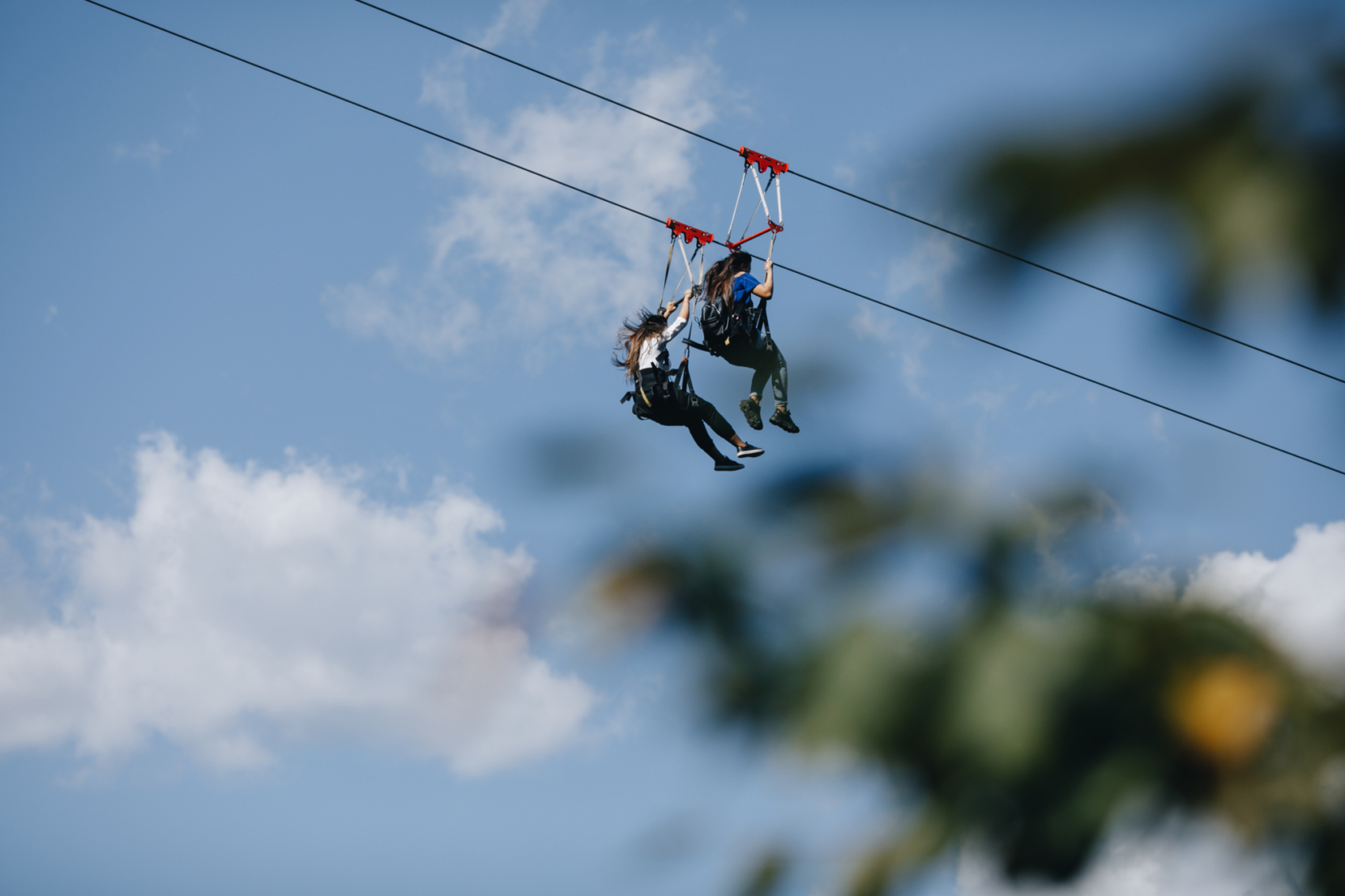 Zipline