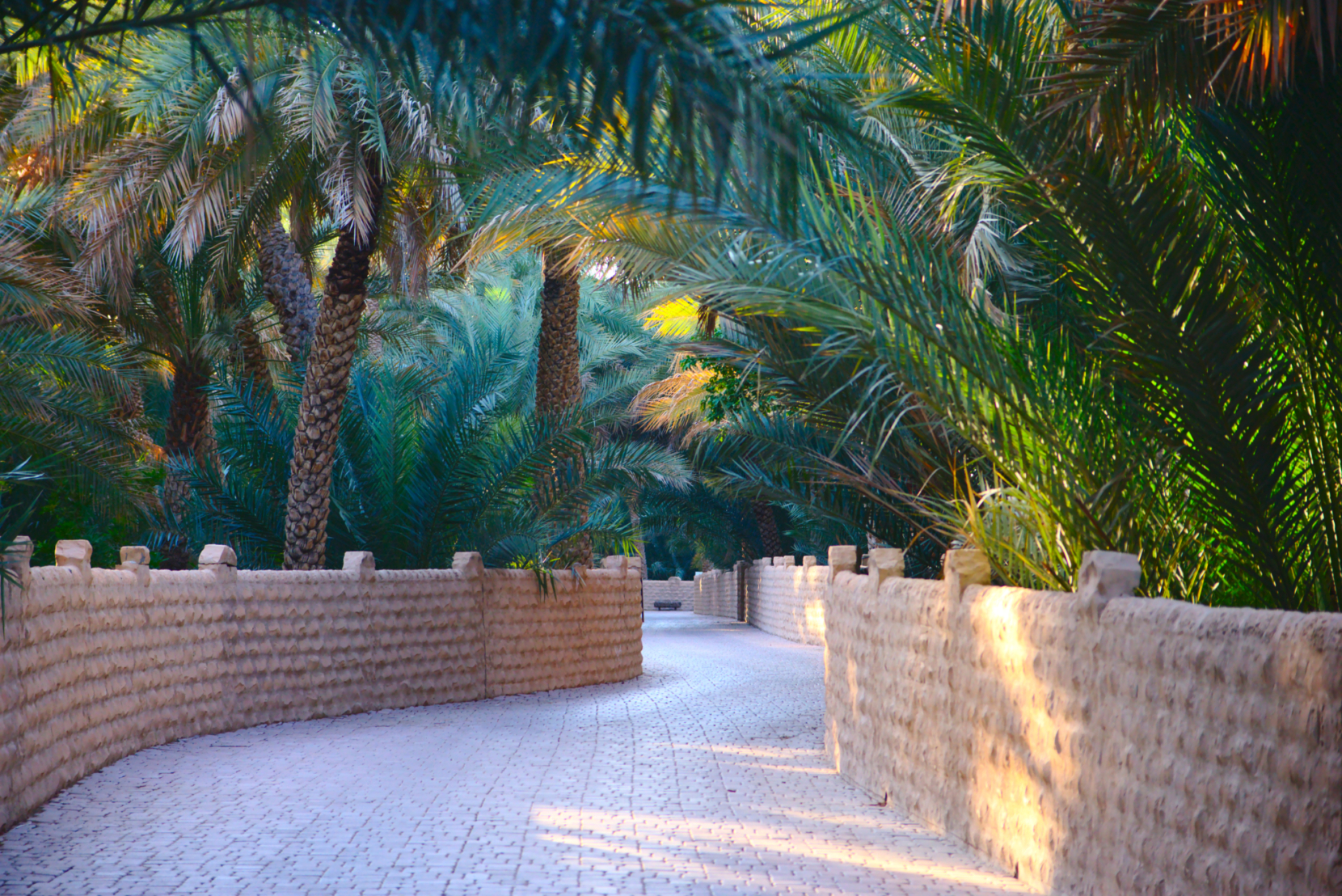 Abu dhabi 5