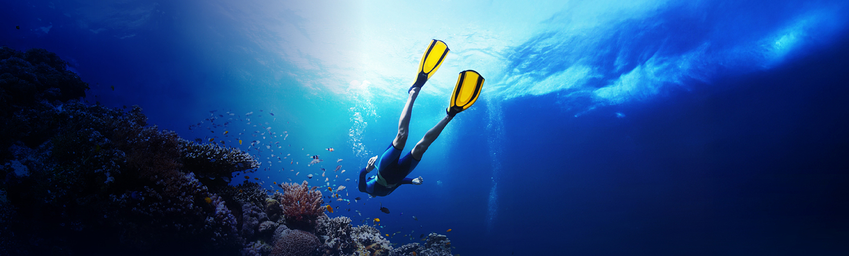 Marsa Alam Shorex Website Post
