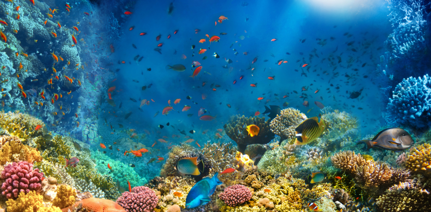 Aquascope under water