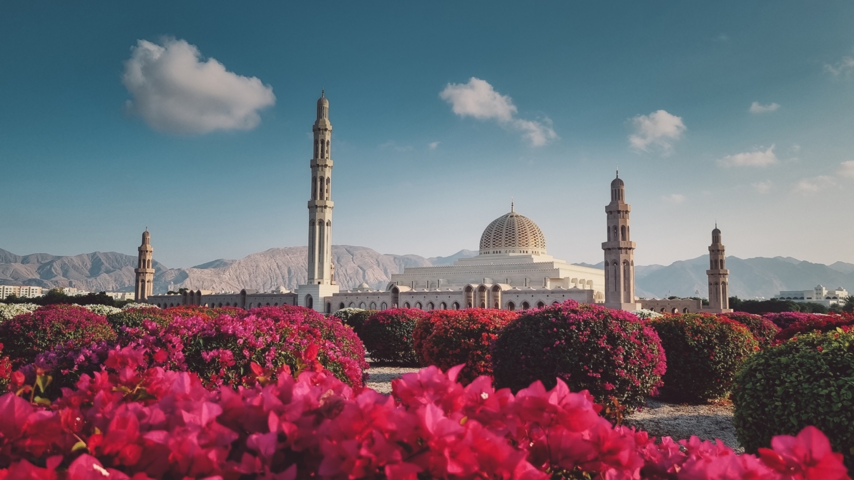 Muscat 1