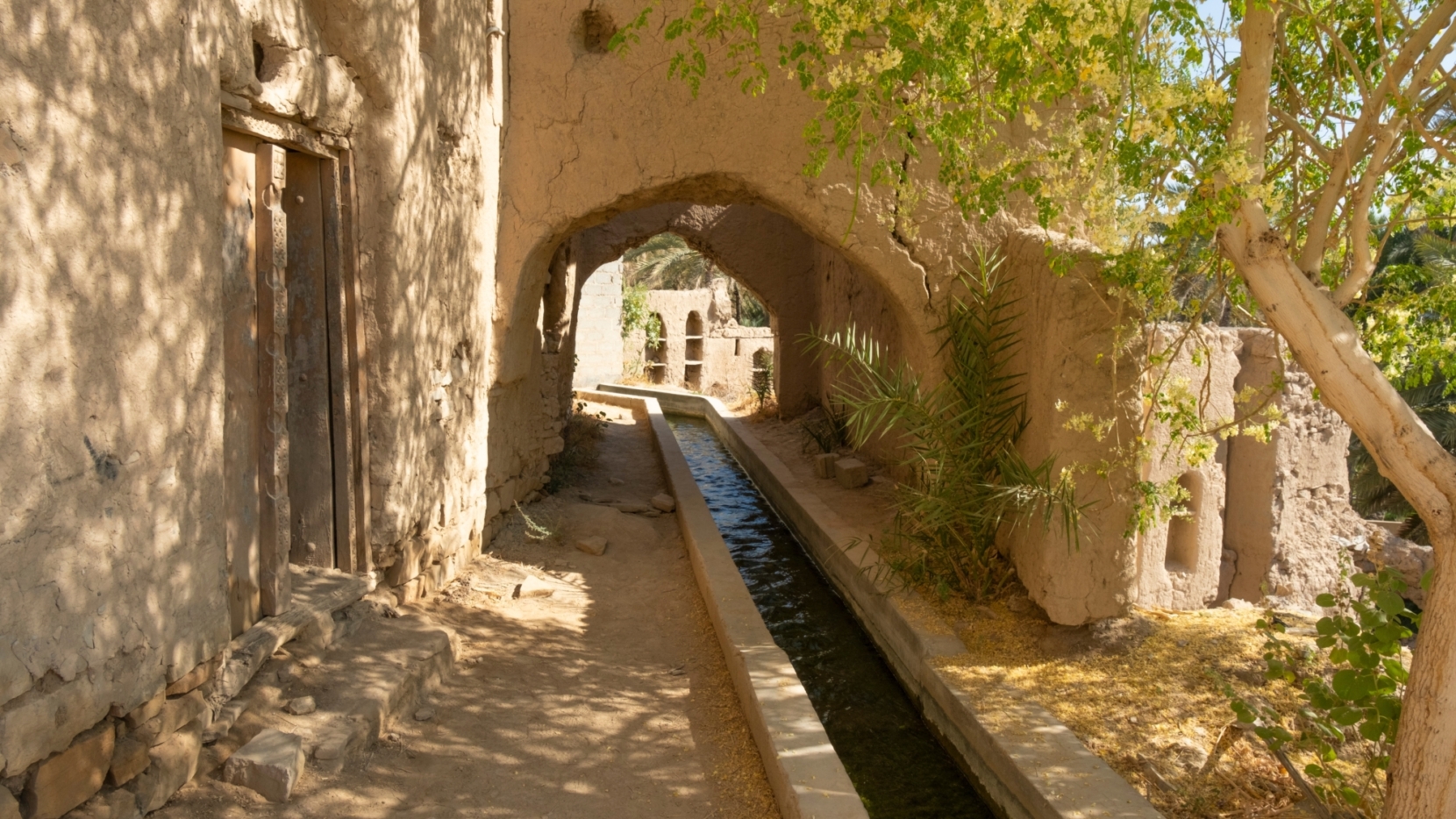 Muscat 6