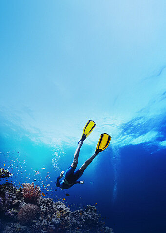 Marsa Alam Shorex Mobile Eng