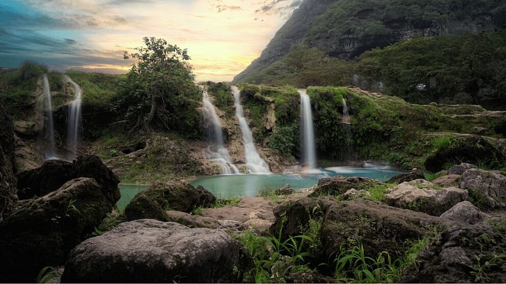 Salalah gallery 2